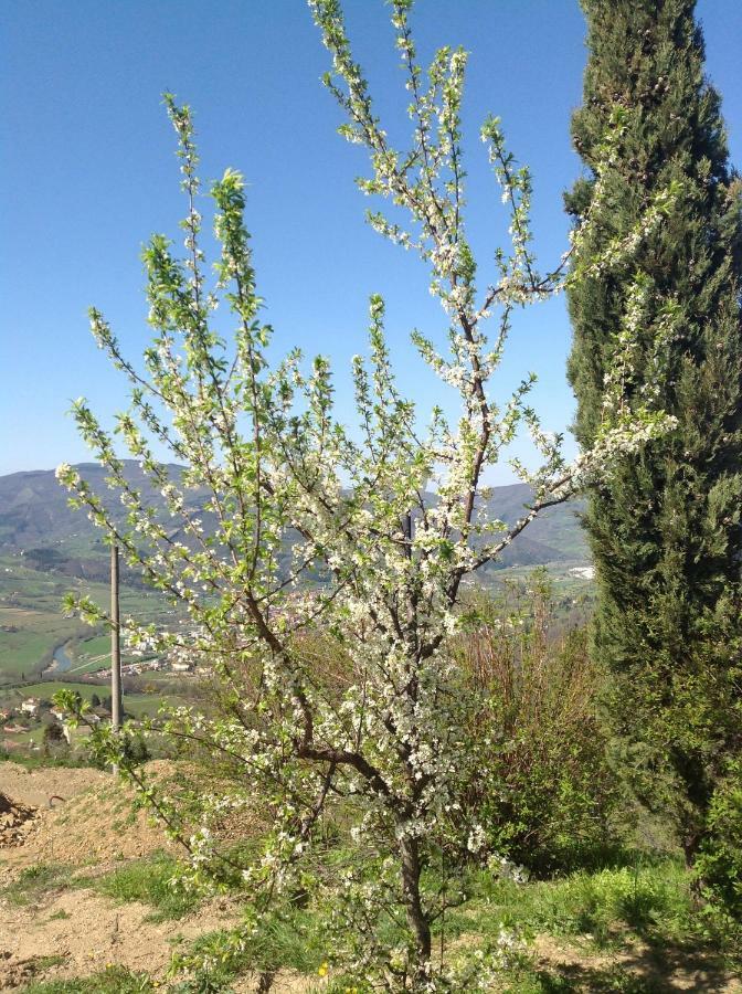 Agriturismo Prato Barone Rufina Exterior foto